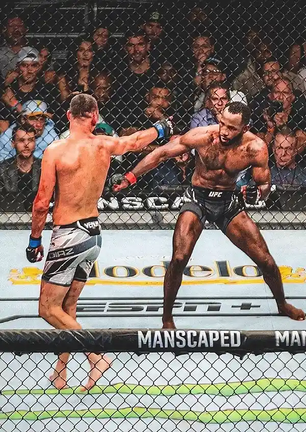 L1707-metalposter-01 متال پوستر طرح UFC کد L1707 - Image 1